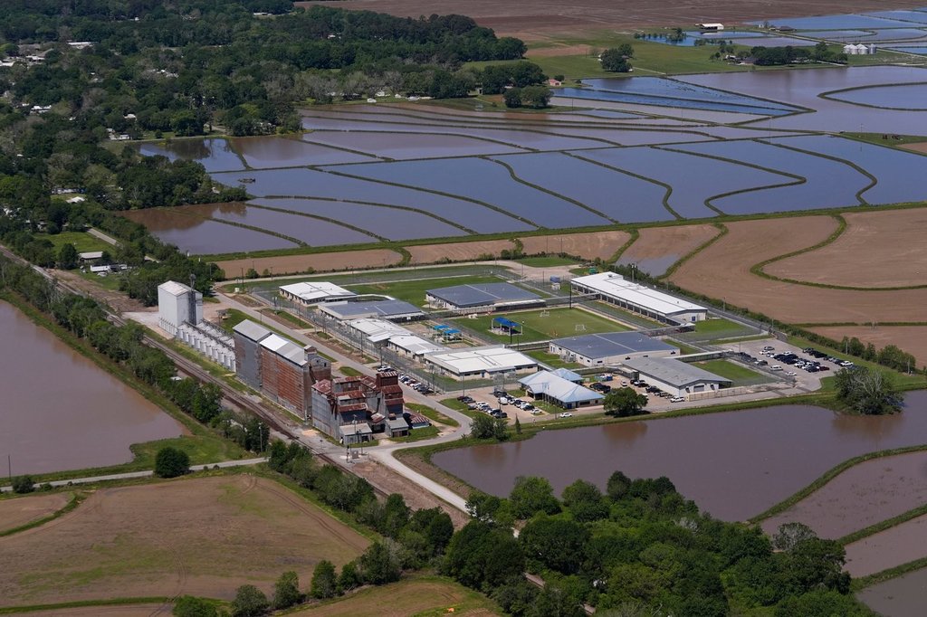 БАТЪН РУЖ Луизиана AP — Жени задържани от американски имиграционни