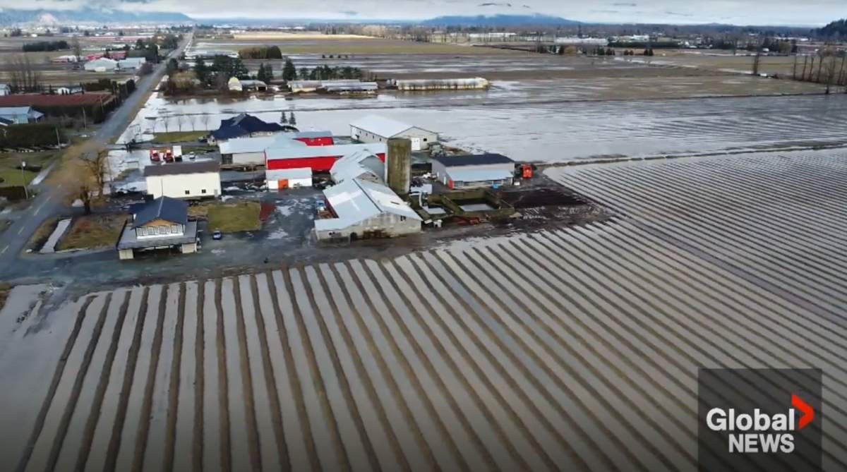 A major rainstorm in late January 2024, dumped over 100 millimetres of rain on some parts of British Columbia's Fraser River Valley, causing widespread flooding.