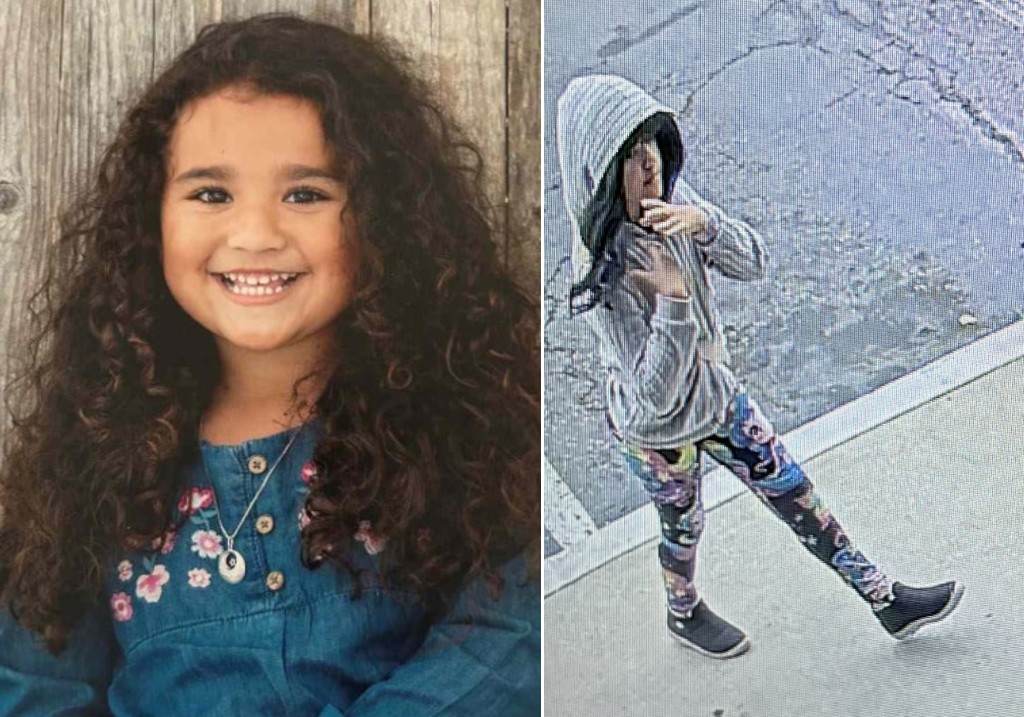 Детективите продължават издирването на изчезнало деветгодишно калифорнийско момиче чийто външен