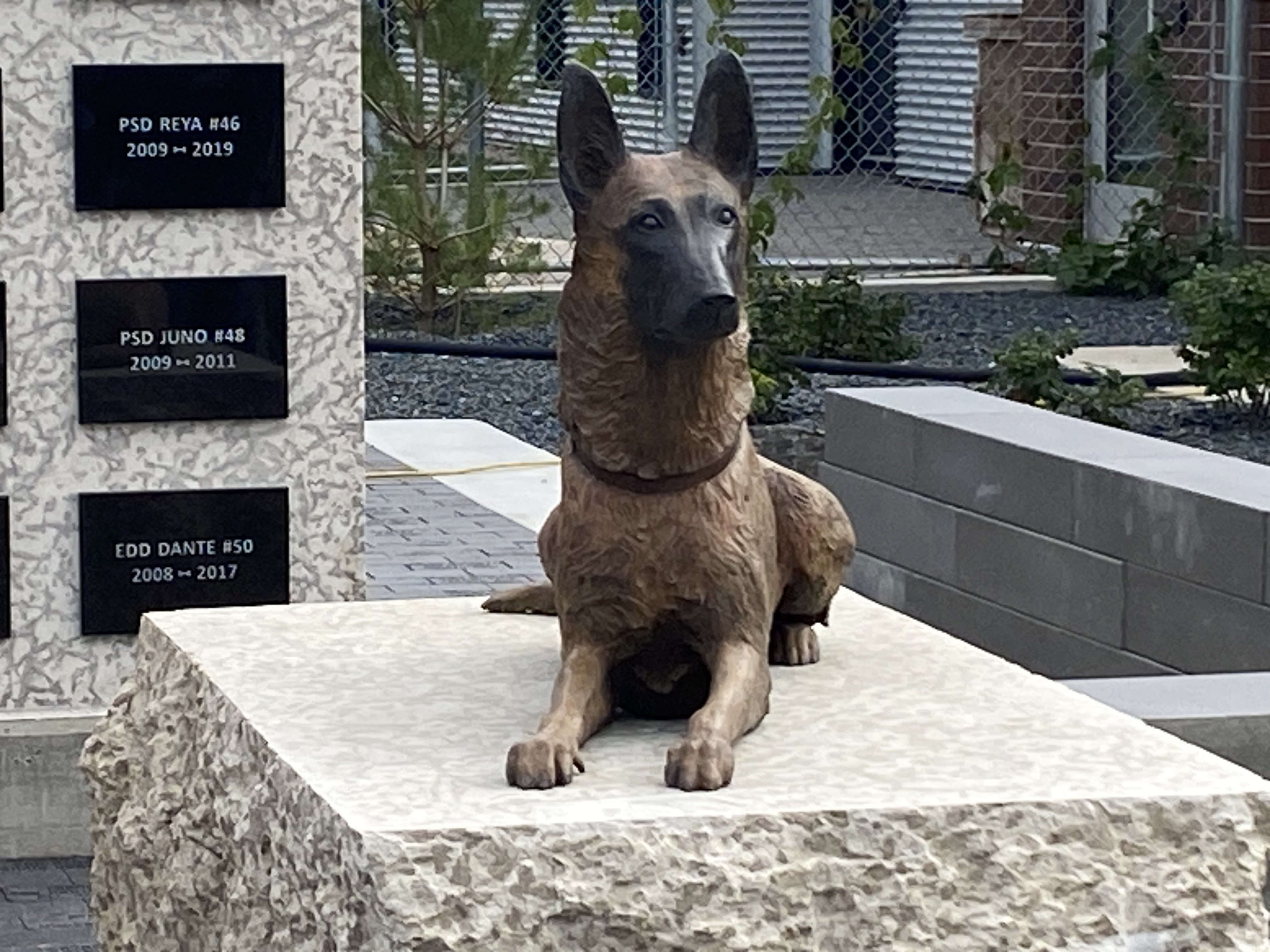 Полицията на Уинипег почита услугата на техните кучешки колеги с