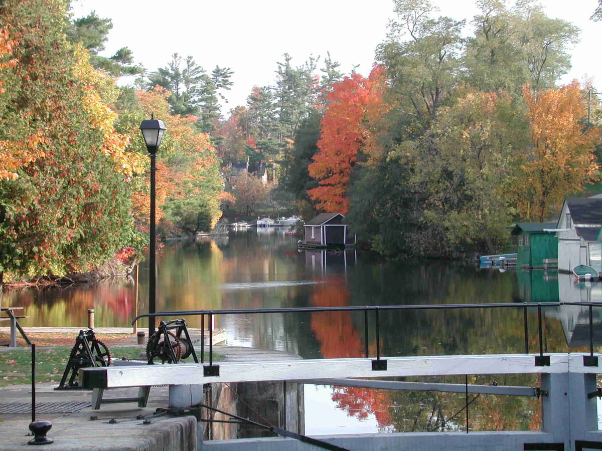 Rideau Lakes township switches to virtual meetings after police were called to a council meeting where heated exchanges with the public and mayor took place.