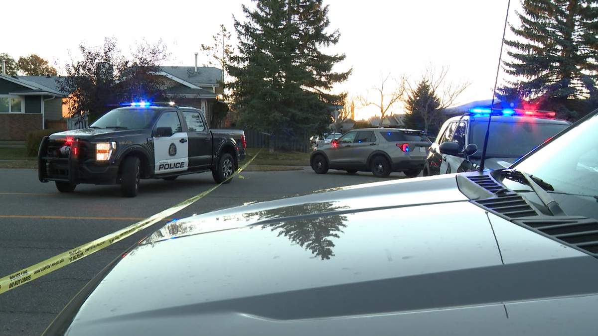 Calgary police were called out to the southeast community of Riverbend early Thursday morning after a hit and run accident involving a pedestrian.