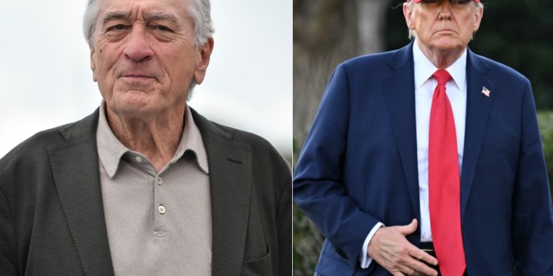 'All in this together': Robert De Niro calls on Americans to protest