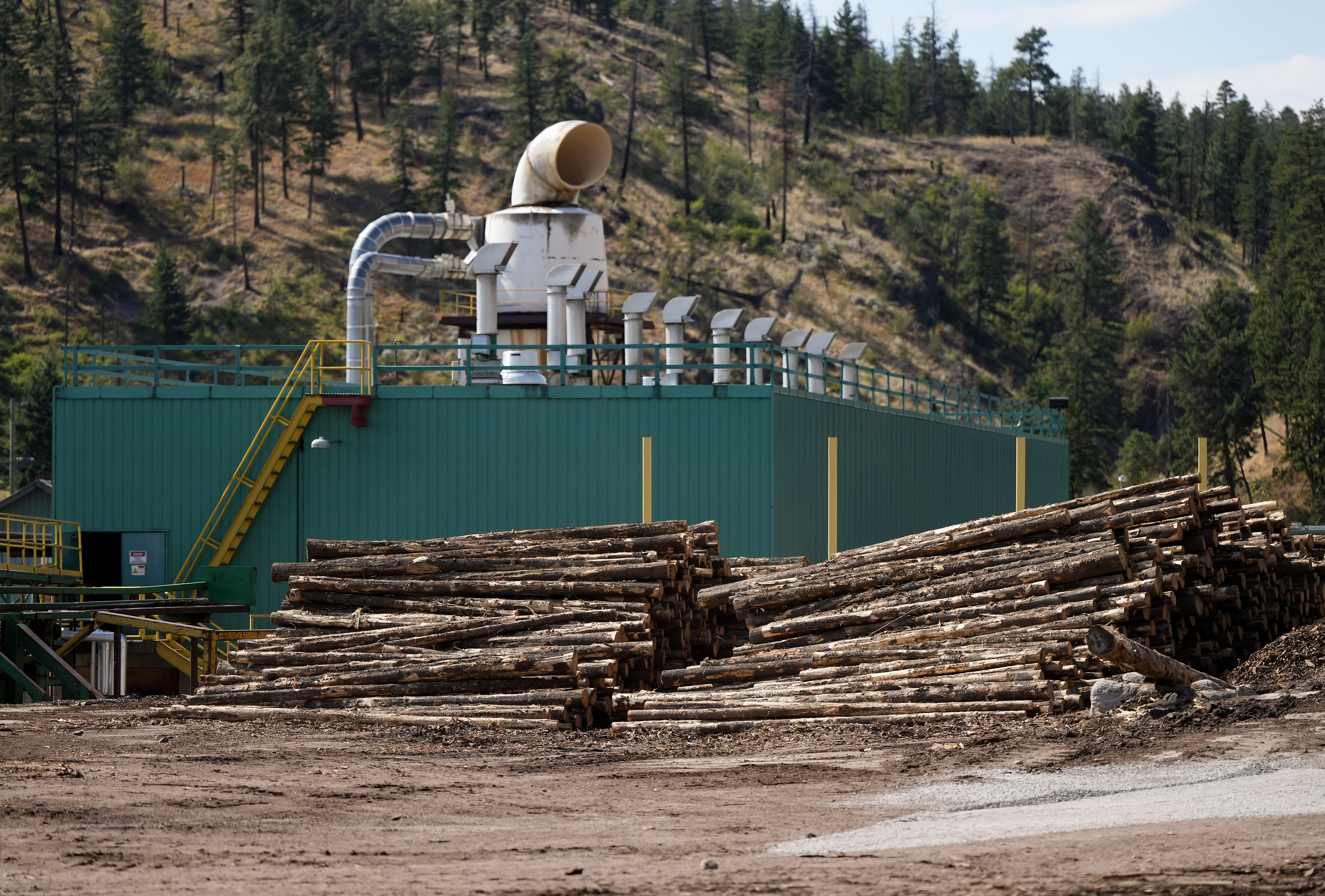 Федералният министър на индустрията Мелани Джоли каза че скоро ще