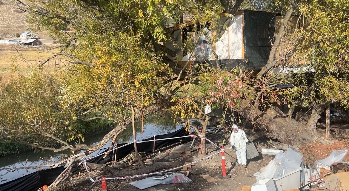 Removal of treehouse homeless encampment underway in Vernon, displacing residents