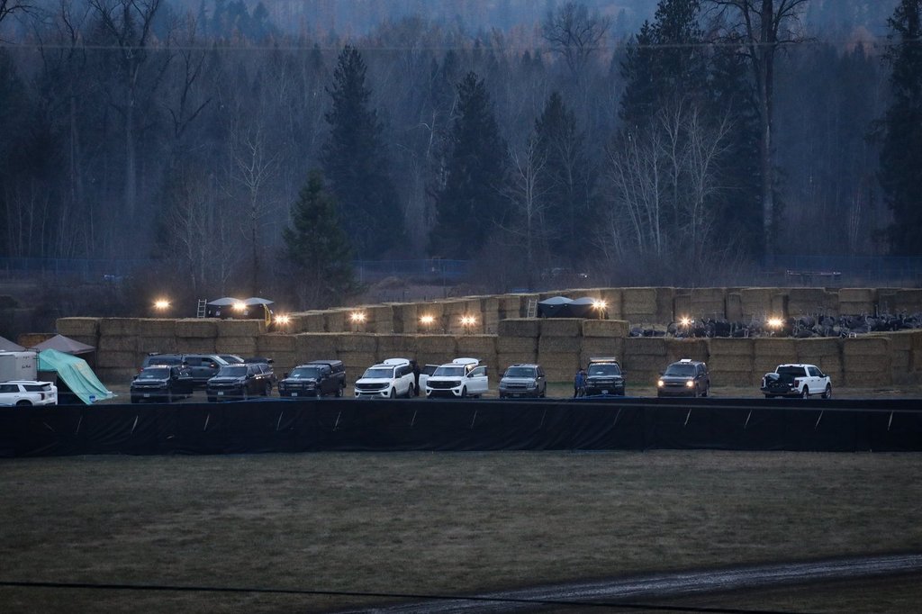 Flood lights illuminate a cull enclosure, where dozens of ostriches were corralled, near the Universal Ostrich Farms in Edgewood, B.C., on Thursday, Nov. 6, 2025. Earlier in the day, the Supreme Court of Canada declined to hear the farm's appeal against an order to cull more than 300 of its ostriches. THE CANADIAN PRESS/Aaron Hemens.