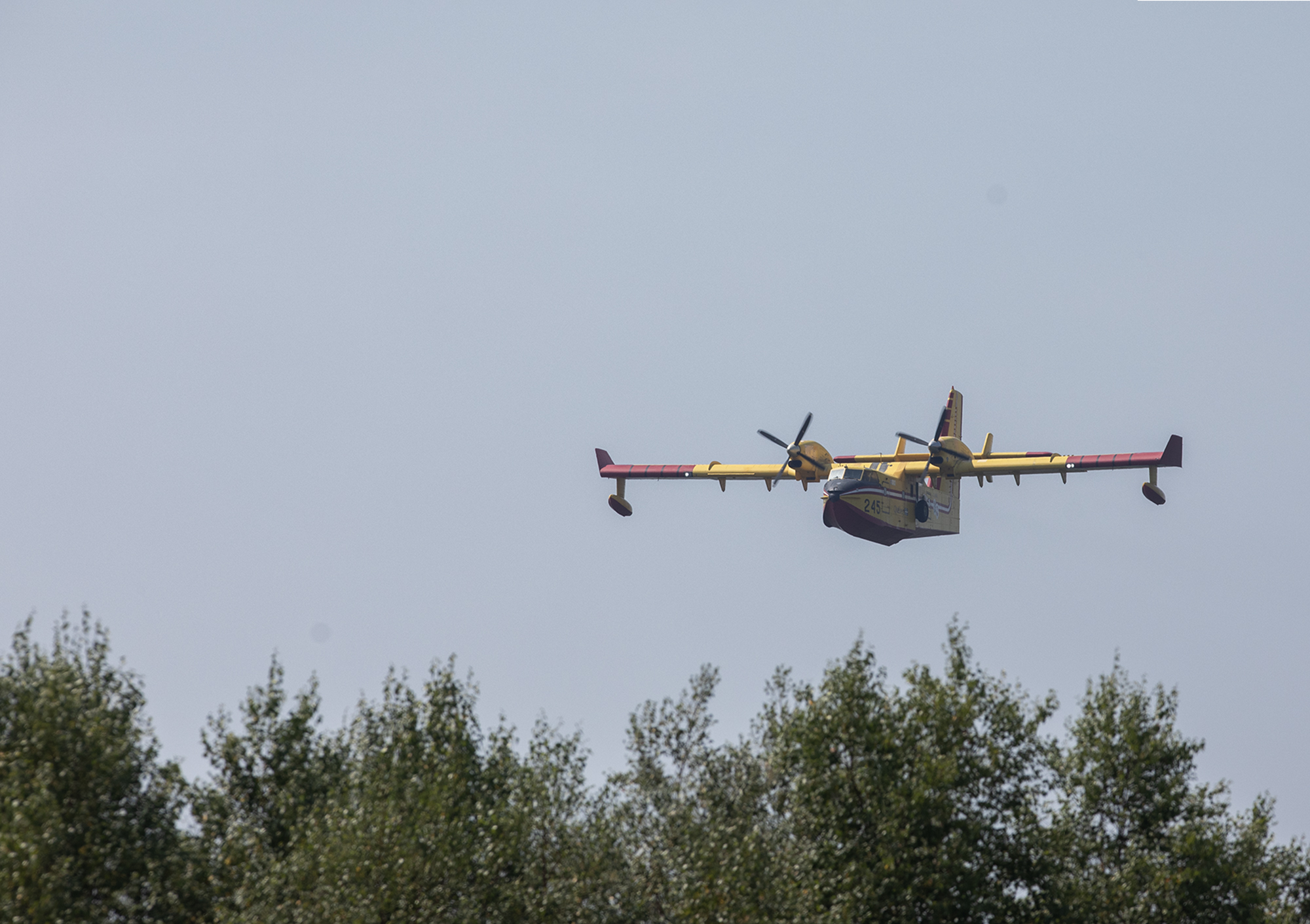 Ню Брунсуикър беше на ръба това лято докато пожарникарите се