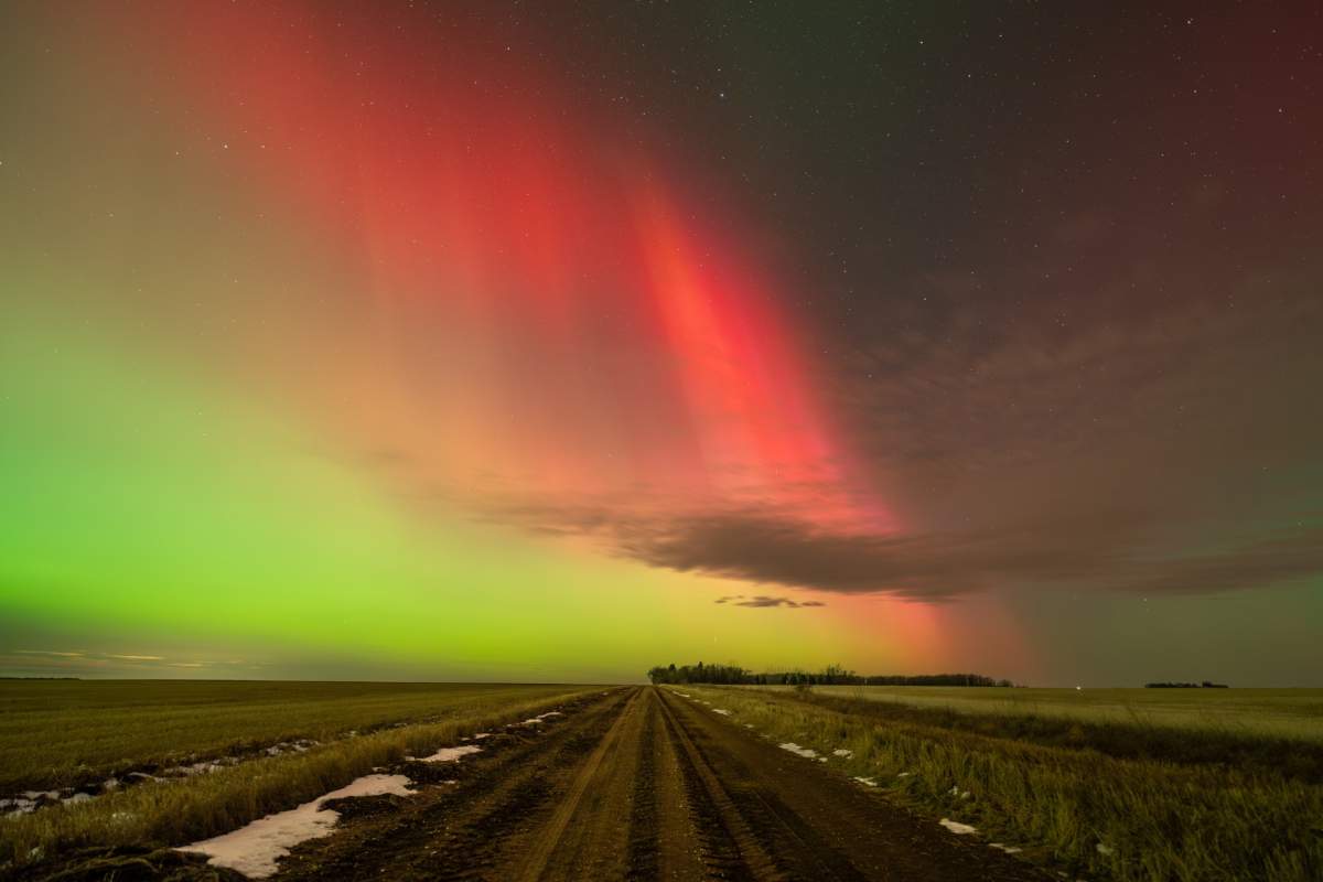 A mixture of colours from the Northern Lights shine in the sky near Cudworth, Sask., on Tuesday, Nov. 11, 2025.