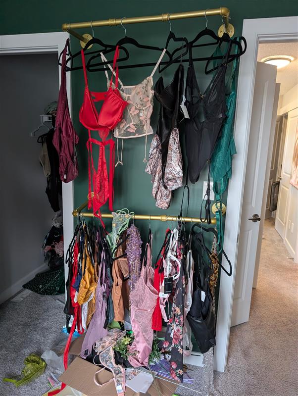 Photographer Brina Braun, of Bare By Brina photography, had her boudoir closet collection stolen from her Edmonton home when it was rented out as an Airbnb in November 2025.