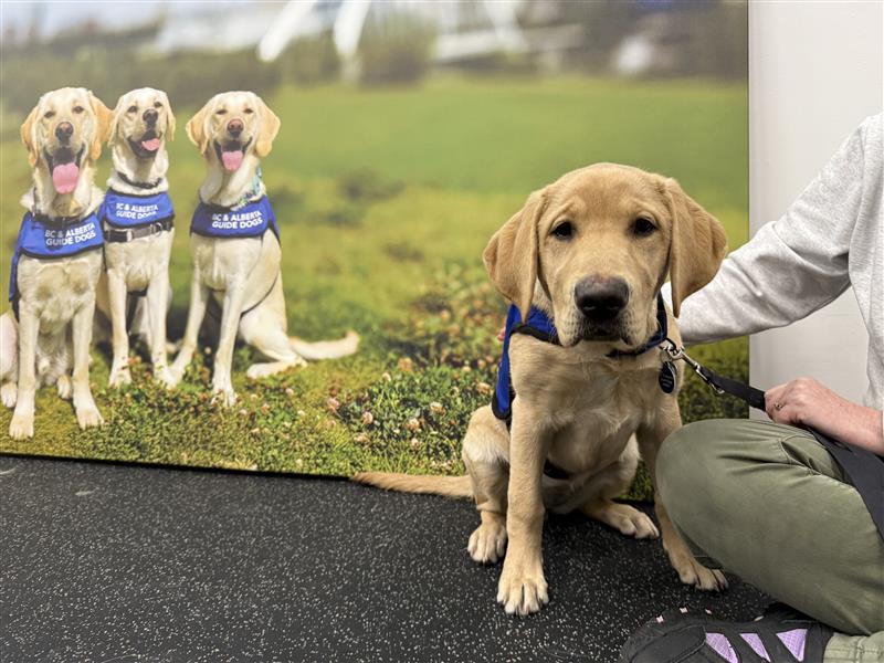 Едмънтън вече е дом на чисто нов център за обучение