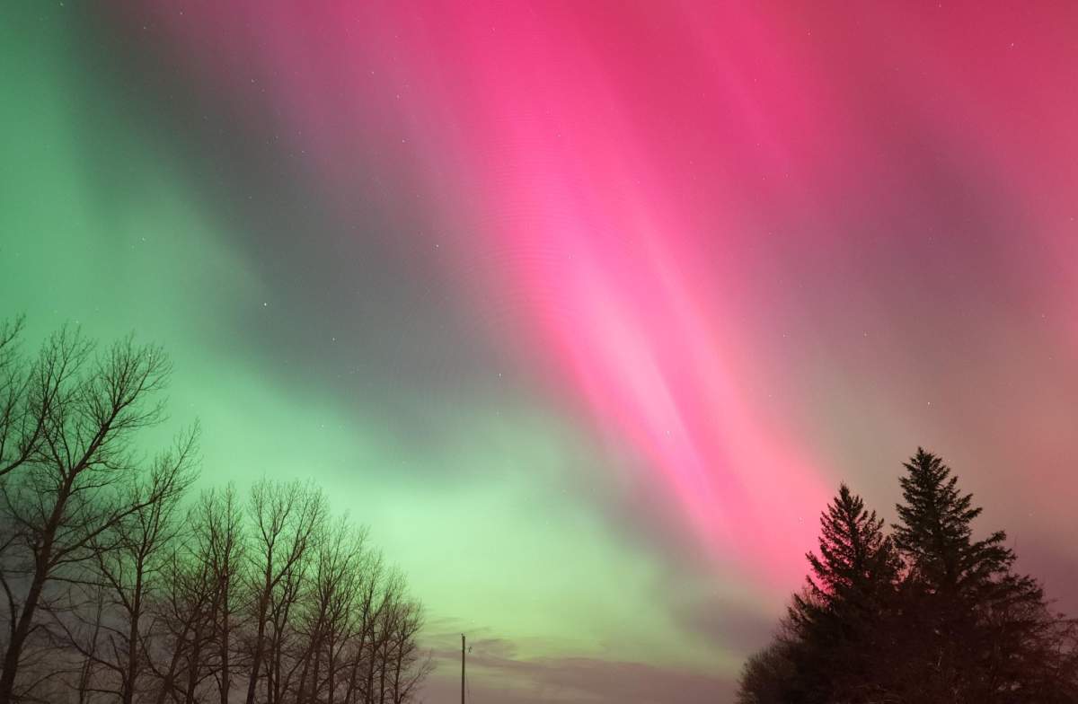A red and green aurora borealis is pictured in the sky over the Grand Coulee and Pense area in Saskatchewan on Tuesday, Nov. 11, 2025.