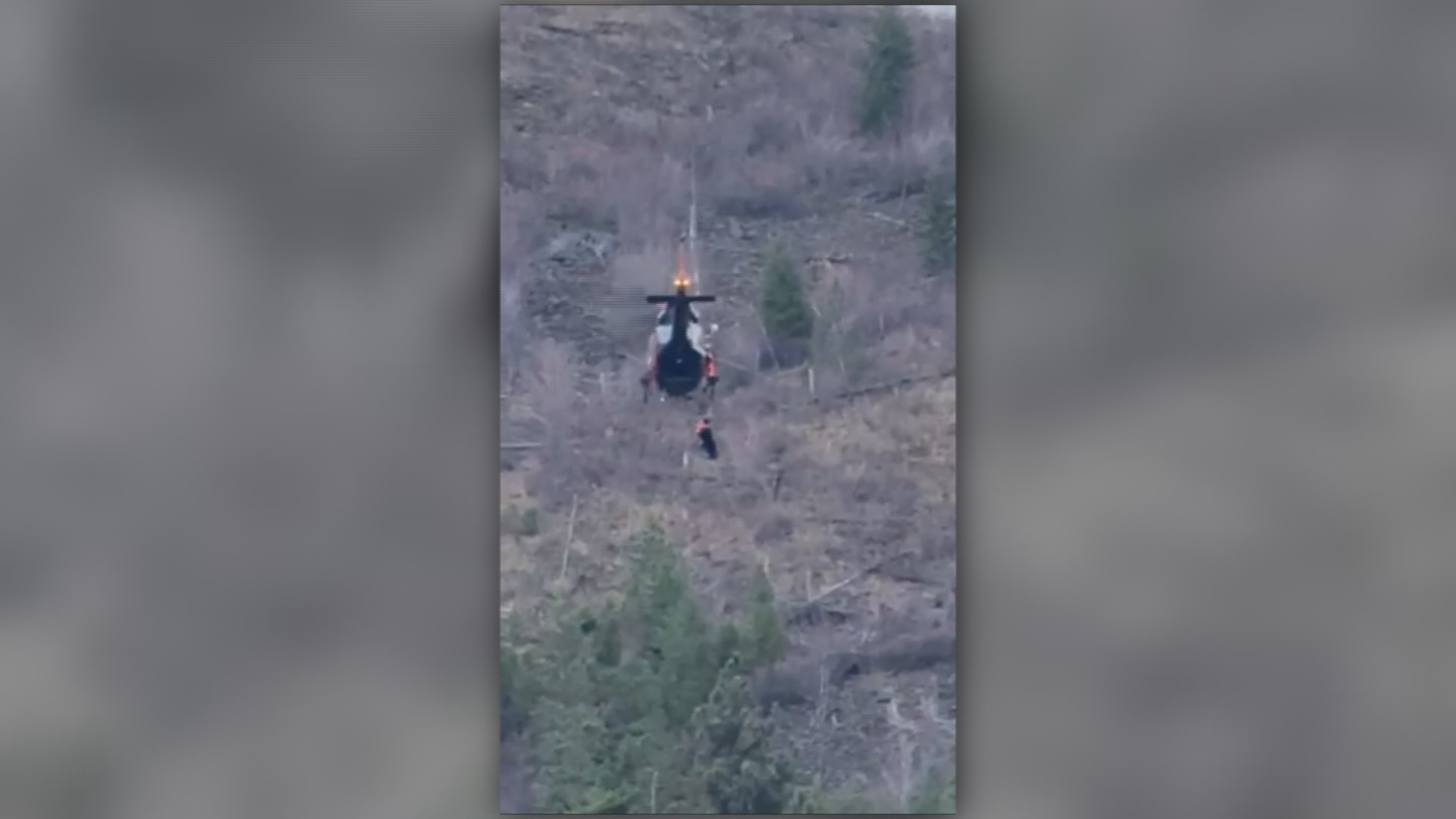 ‘A huge concern’: Okanagan search crew warns of growing trend as another senior goes missing