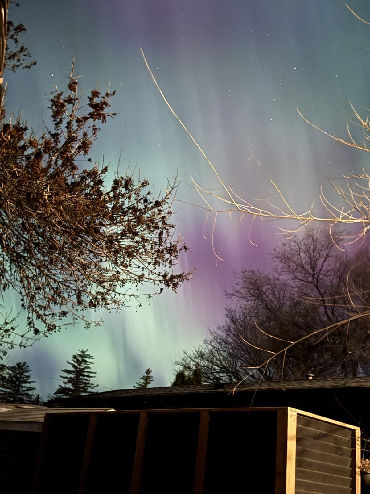 An aurora borealis is pictured in the skies of Saskatchewan on Tuesday, Nov. 11, 2025.