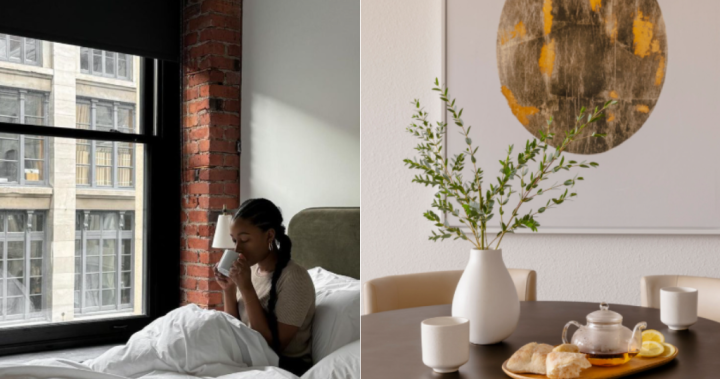 The sperm tourists were quickly evicted after the temporary rental company went bankrupt