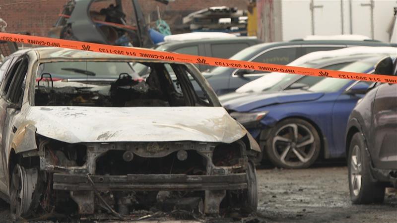 Montreal police investigate 15 cars torched in alleged arson attack