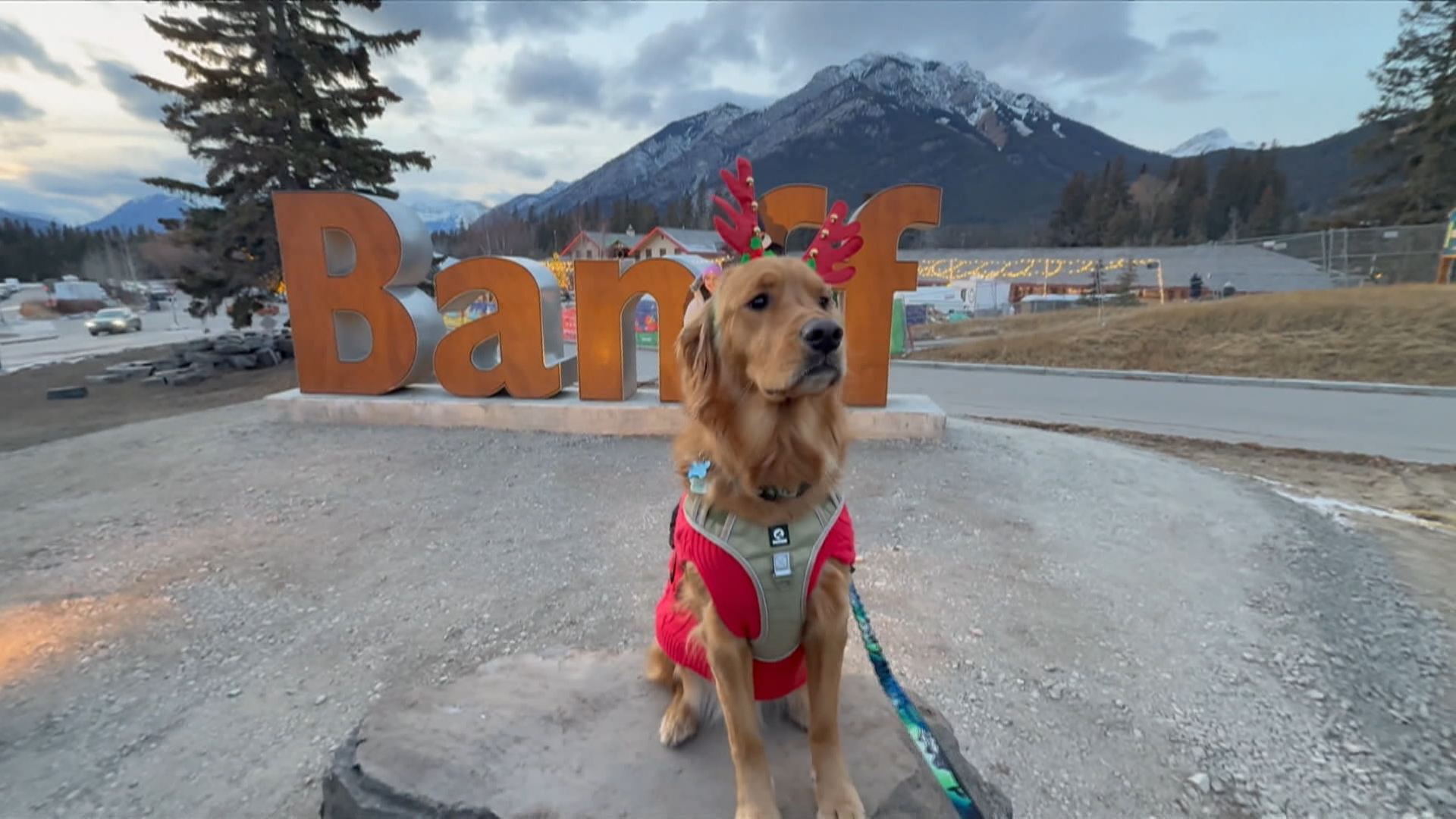 Iconic Banff sign has a new home after concerns raised about pedestrian safety