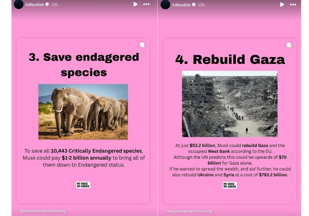 A screenshot of Billie Eilish's Instagram Stories.