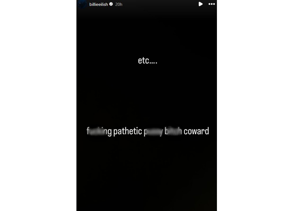 A screenshot of Billie Eilish's Instagram Stories.