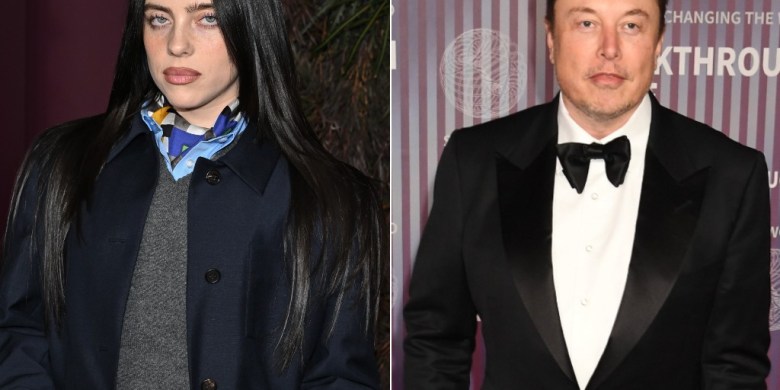 Billie Eilish calls out 'pathetic' Elon Musk for not donating vast fortune