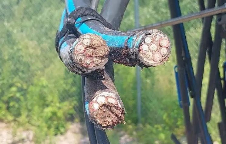 Полицията в Калгари съобщи че двама мъже са арестувани и