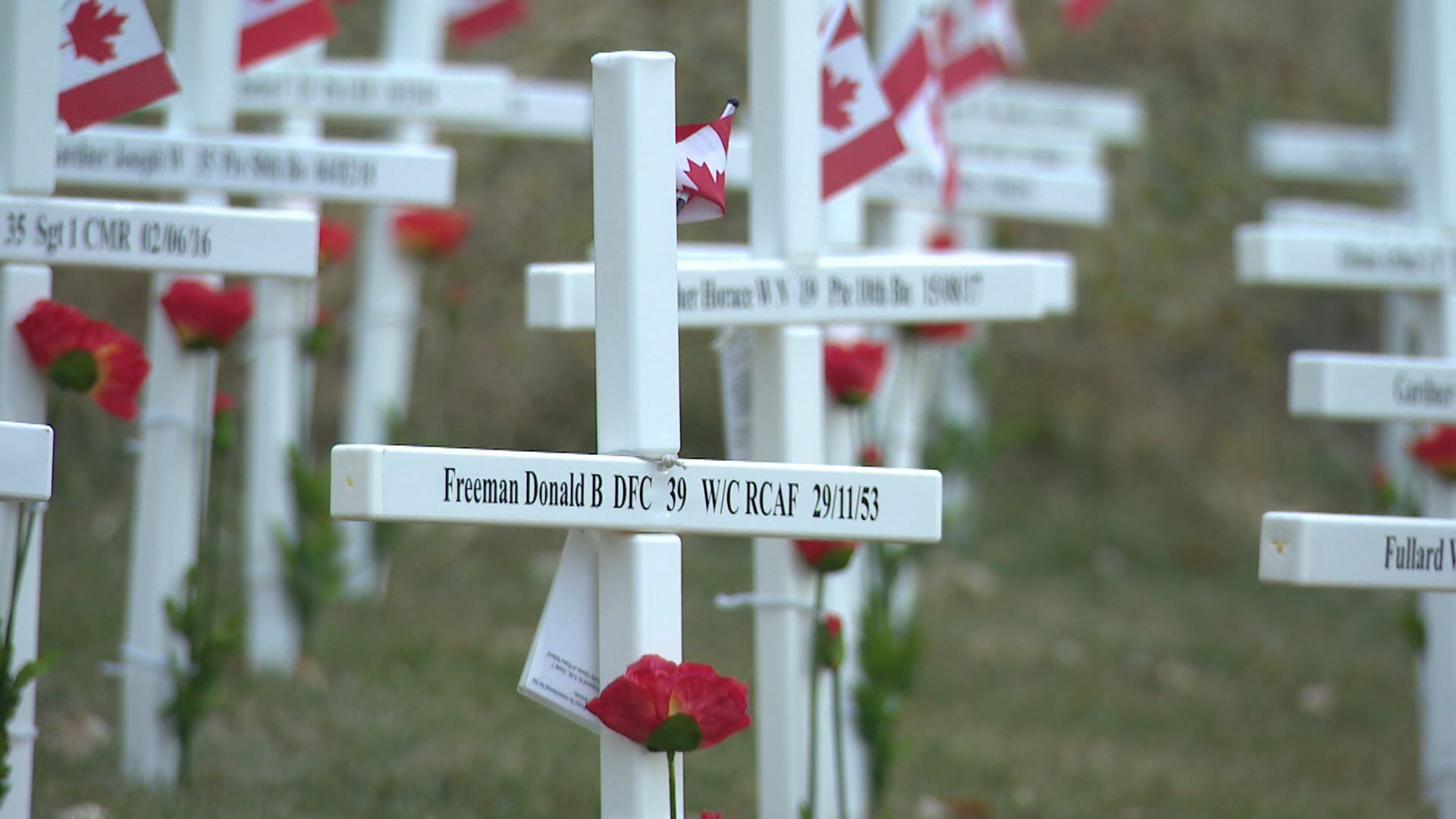 Calgary Remembers: Field of Crosses honours Canada’s fallen soldiers for 17th year