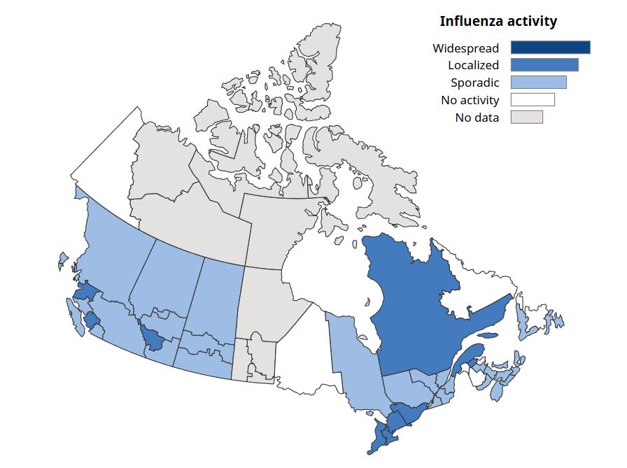 According to the latest Canadian respiratory virus surveillance report, Calgary has become one of the hot spots for flu outbreaks in Canada.