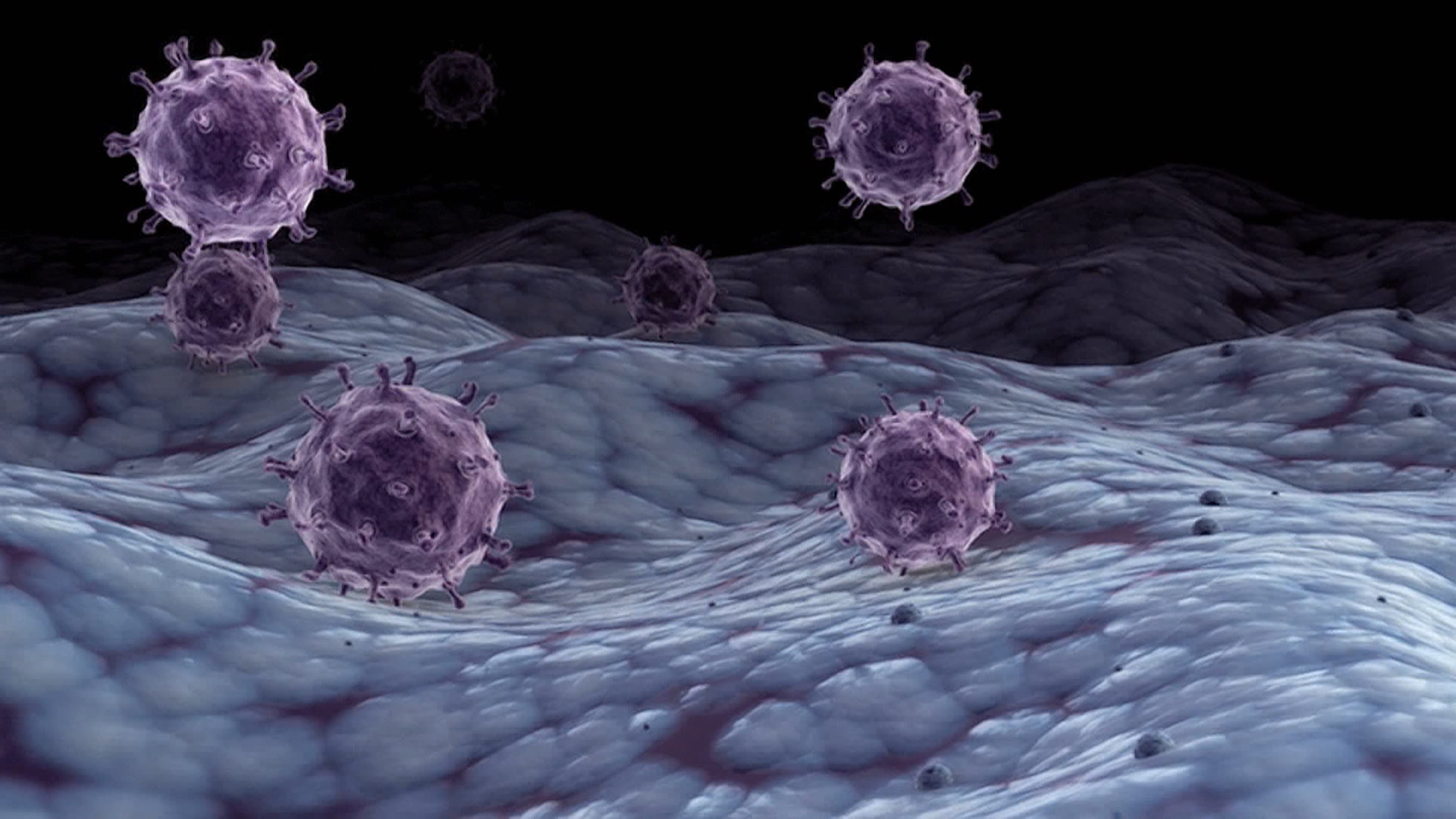 Калгари и околностите се превърнаха в една от горещите точки