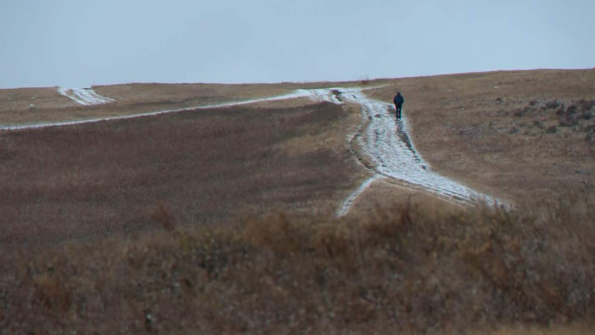 Calgary police say officers were called out around 11 a.m. on Friday after a pedestrian discovered what is thought to be human remains in Nose Hill Park.