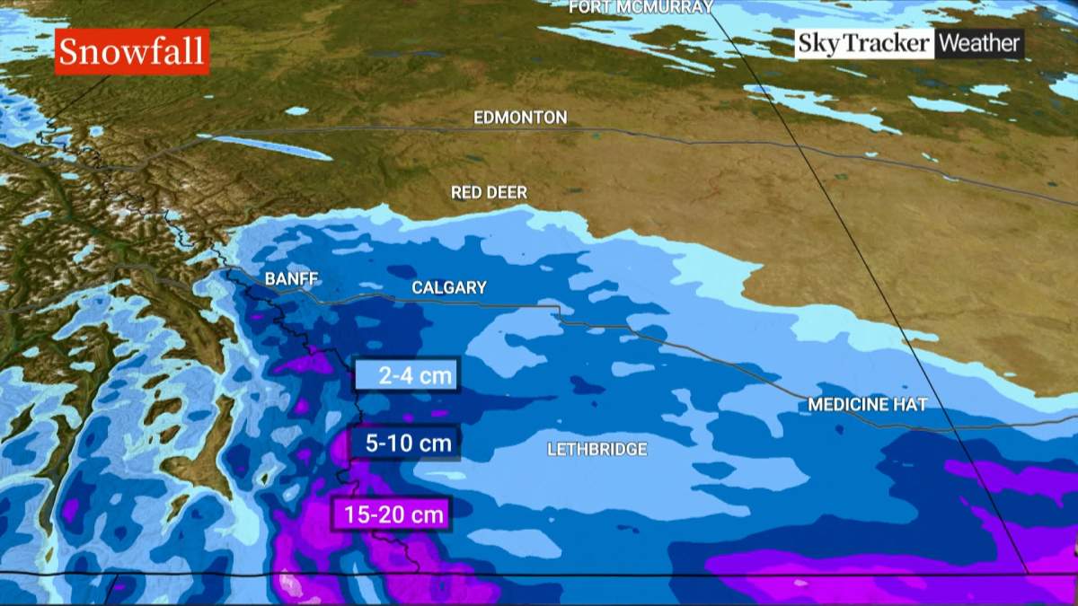 Envronment Canada has issued snowfall warnings for a large area stretching from southeastern B.C. into Saskatchewan, with up to 20 cm of snow expected in the hardest hit areas close to the U.S. border.