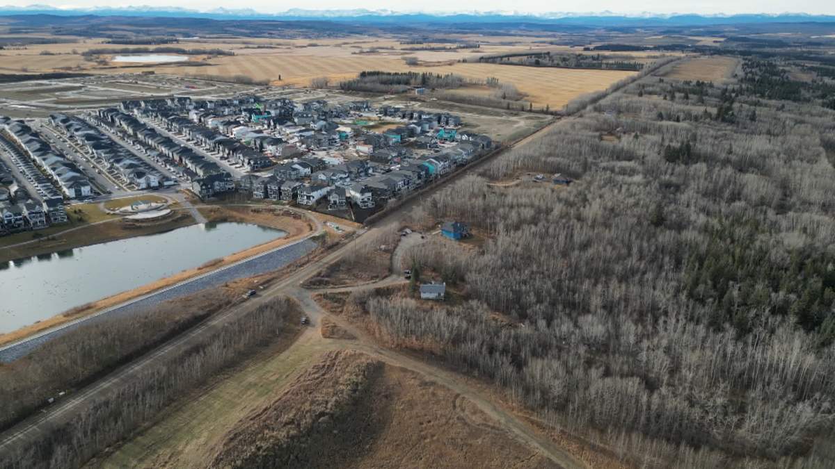 Police on the neighbouring Tsuut'ina First Nation claim they've only received one complaint of an aggressive dog in the area so far this year, but they are encouraging anyone who has an encounter to report it to police.