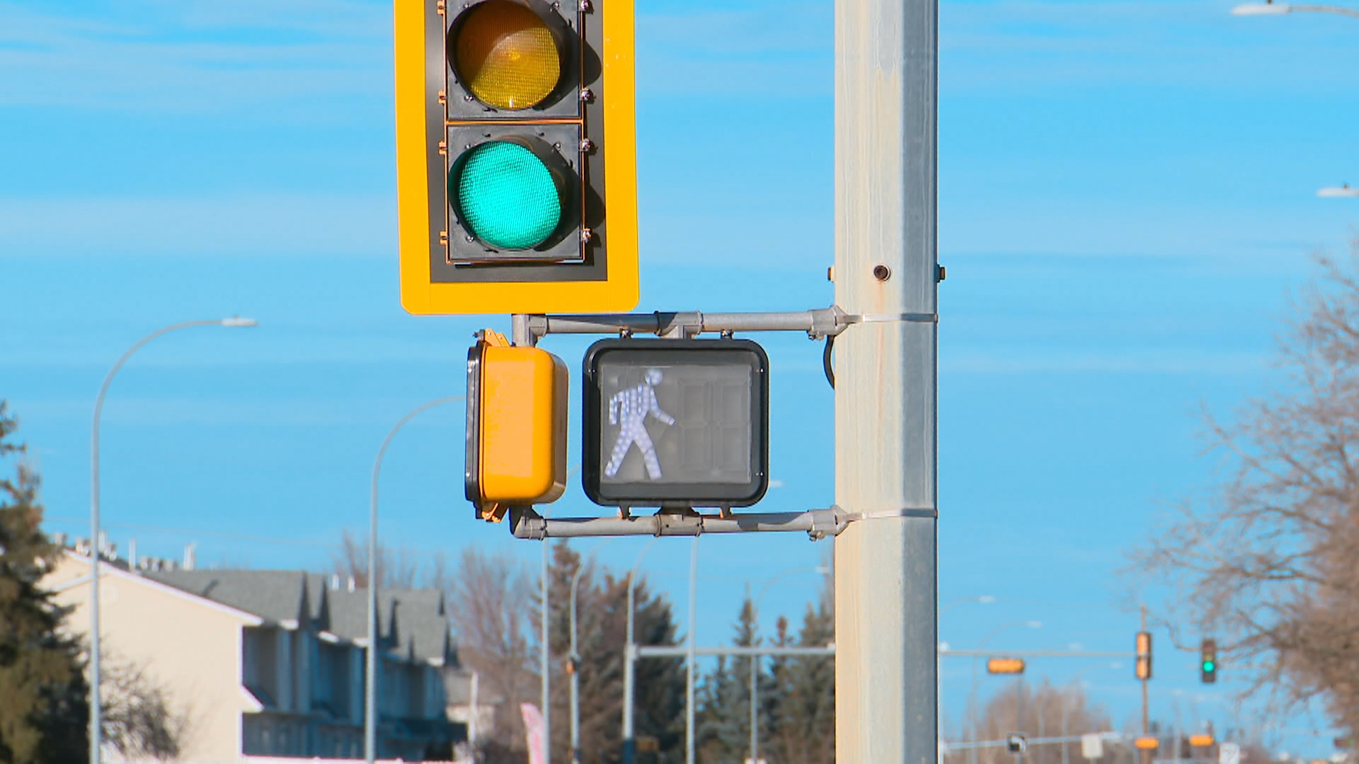 Полицията както в Калгари така и в Едмънтън казва че