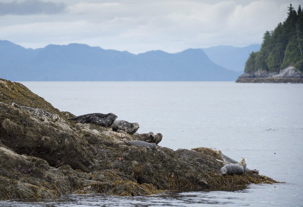 Околна среда Канада издаде предупреждение за валежи за части от
