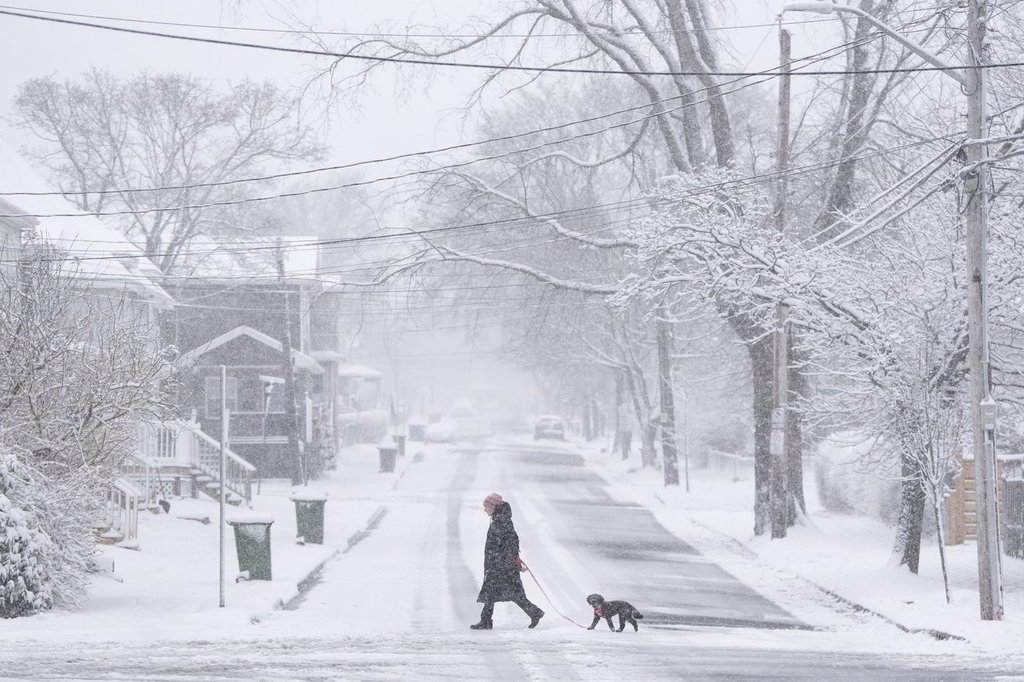 A pedestrian walks their dog across the street in Halifax during a spring snowstorm on Tuesday, April 8, 2025. THE CANADIAN PRESS/Darren Calabrese.