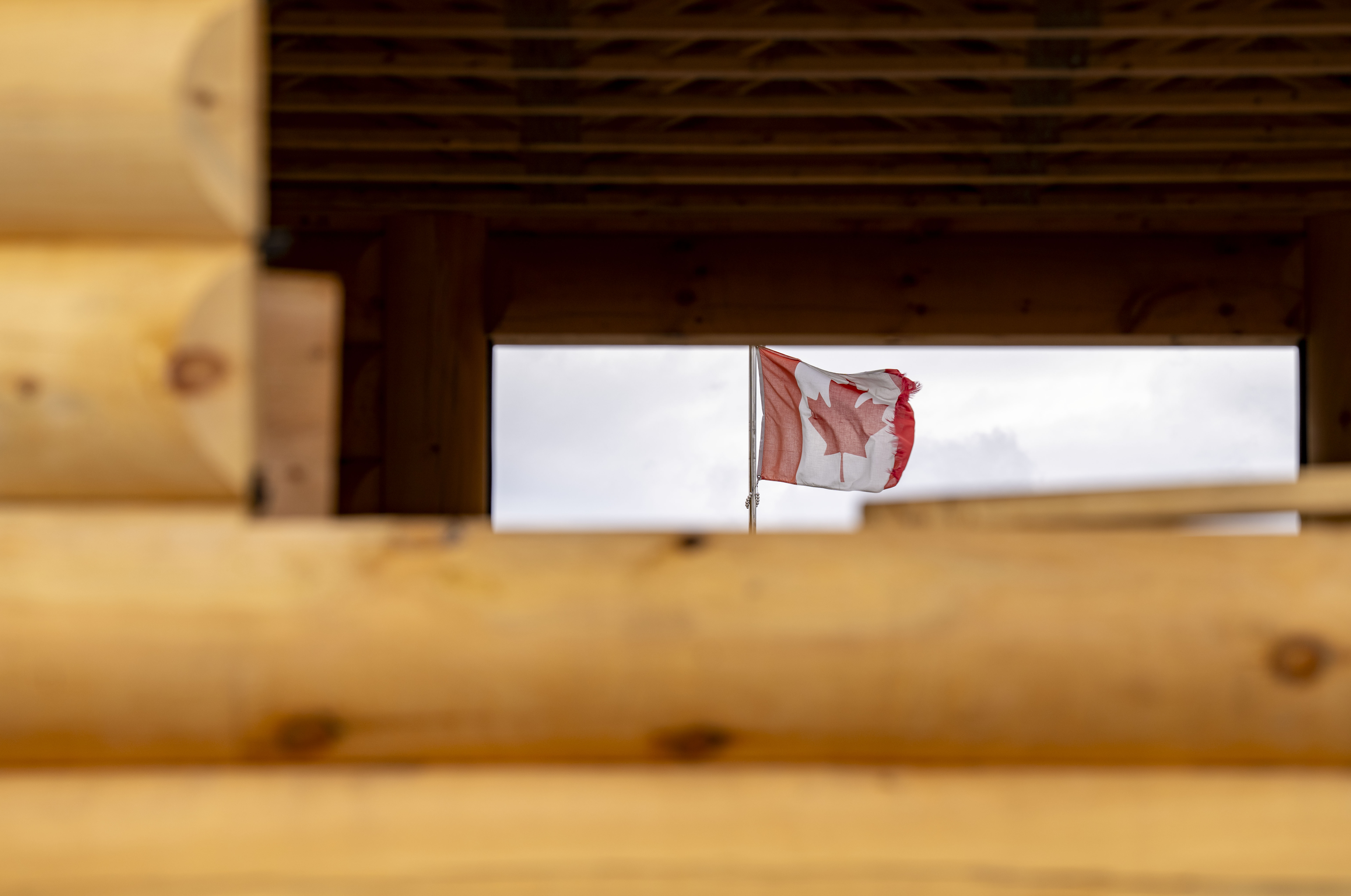 Политиката на федералното правителство Купувайте канадско за обществени поръчки за