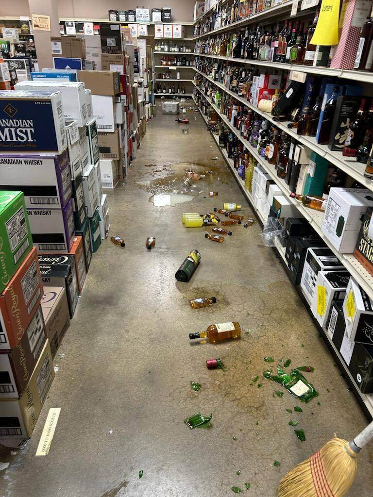 Drunk raccoon found on bathroom floor after liquor store rampage ...