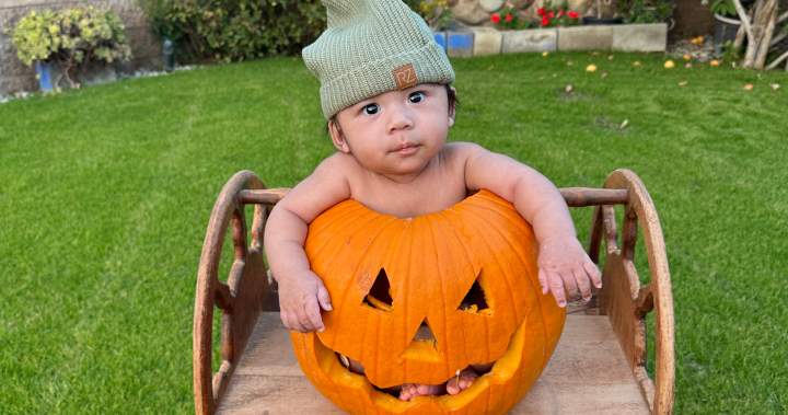 Семейство в Калифорния празнува този празничен сезон след чудотворното раждане