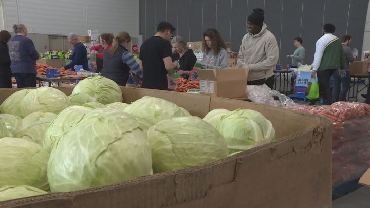 Програмата Holiday Hamper се подготвя за деня на доставката в Едмънтън