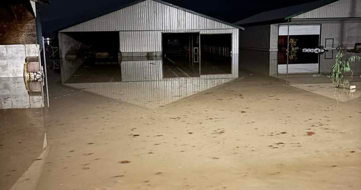 Фермер в Абътсфорд Британска Колумбия казва че общността се е