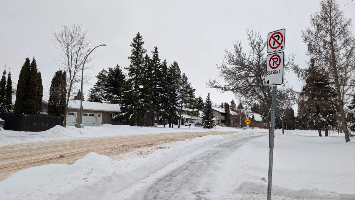 A windrow on a bus route in Edmonton, Alta. on Monday, December 29, 2025.