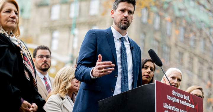 Liberals to lay out plan for ‘generational’ Criminal Code updates