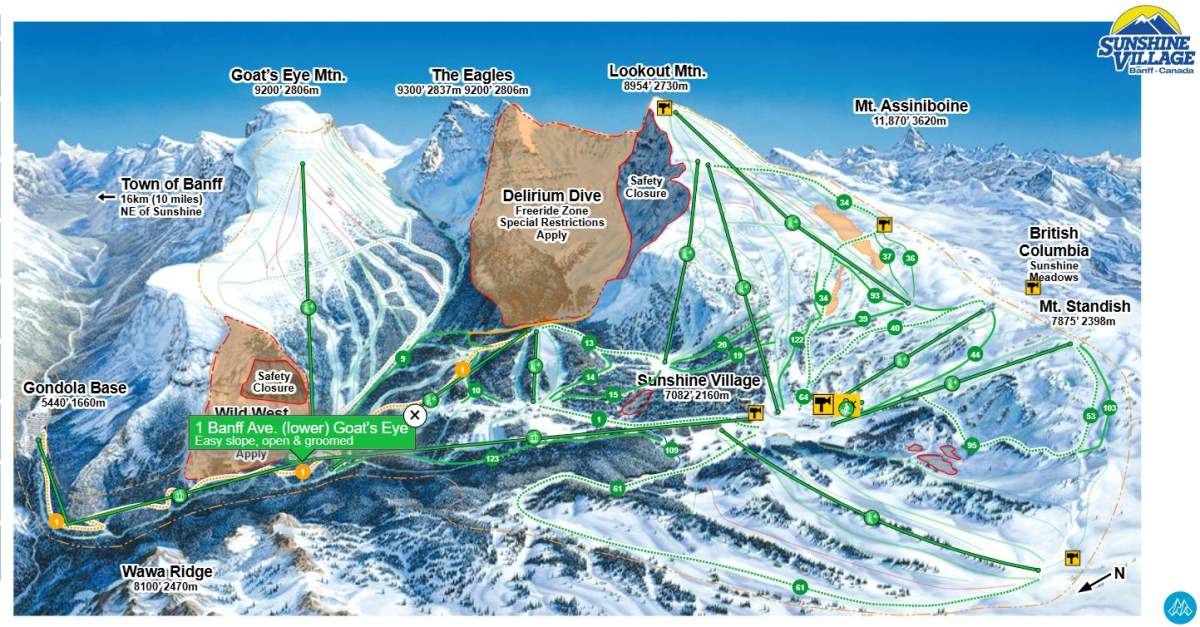 Toronto woman dies after falling into deep snow at Sunshine Village - image