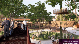A rendering of the treetop trail planned for the Edmonton Valley Zoo.