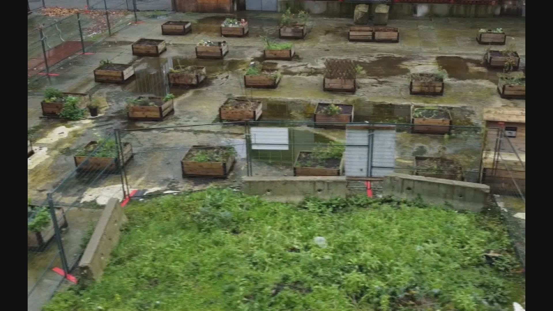 Програмисти в Британска Колумбия им е разрешено да предоставят неизползвана