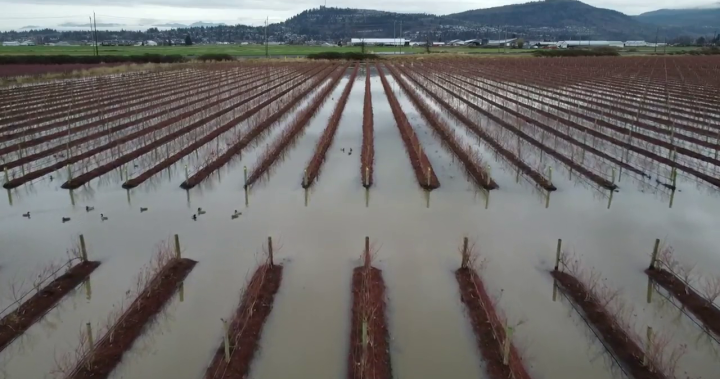 Стотици хора са под заповеди за евакуация и предупреждения от