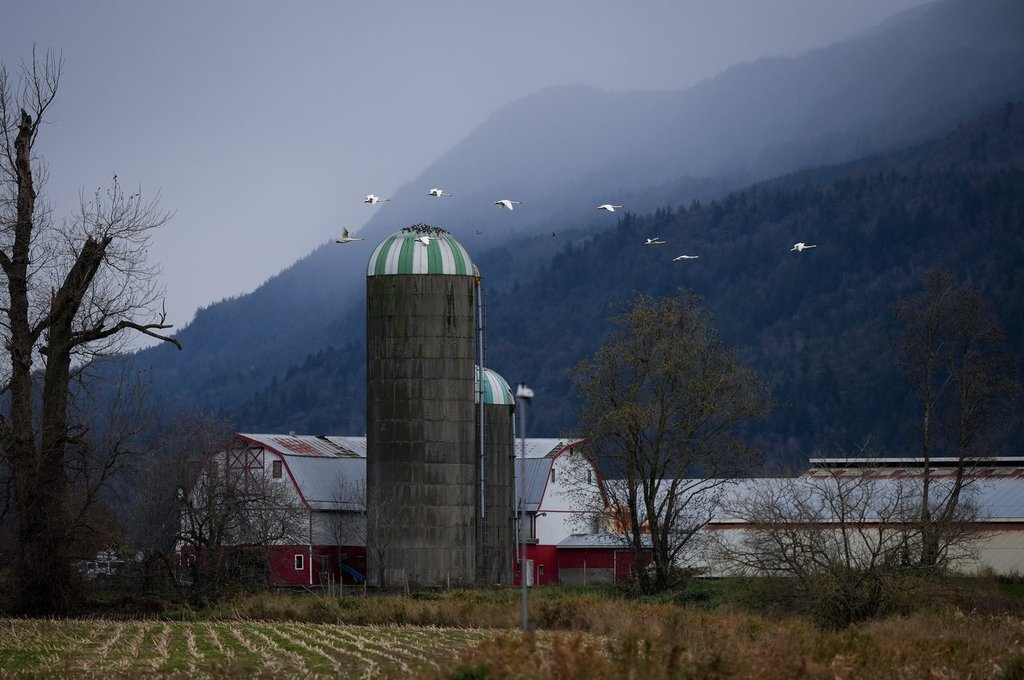 Агенция за хуманно отношение към животните в Алберта казва че