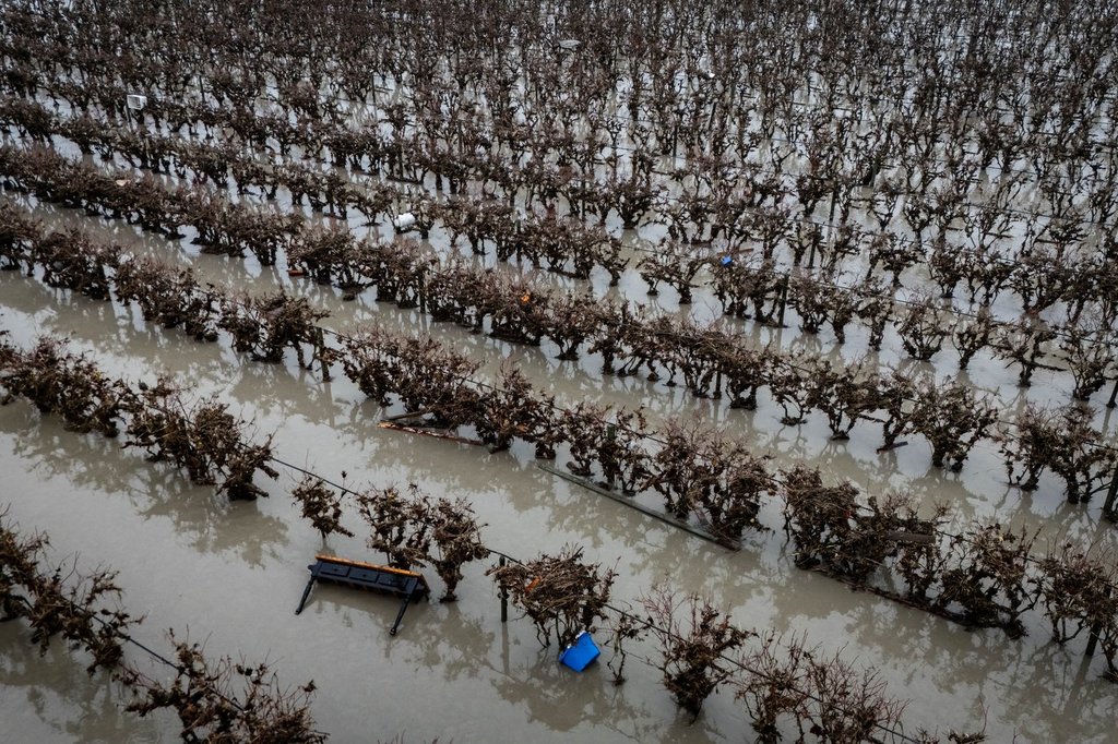 A table and bin is caught in a field after flooding in Abbotsford, B.C., Friday, Dec. 12, 2025. THE CANADIAN PRESS/Ethan Cairns.