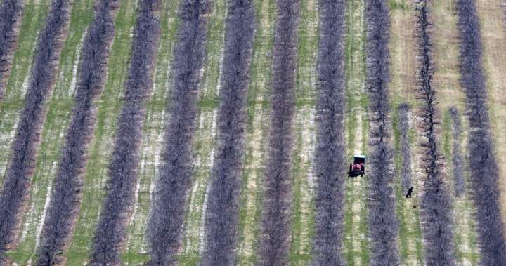 Report raises concerns about human rights of N.S. female migrant workers