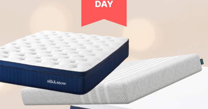 Кураторът самостоятелно решава какви теми и продукти представяме Когато закупите артикул