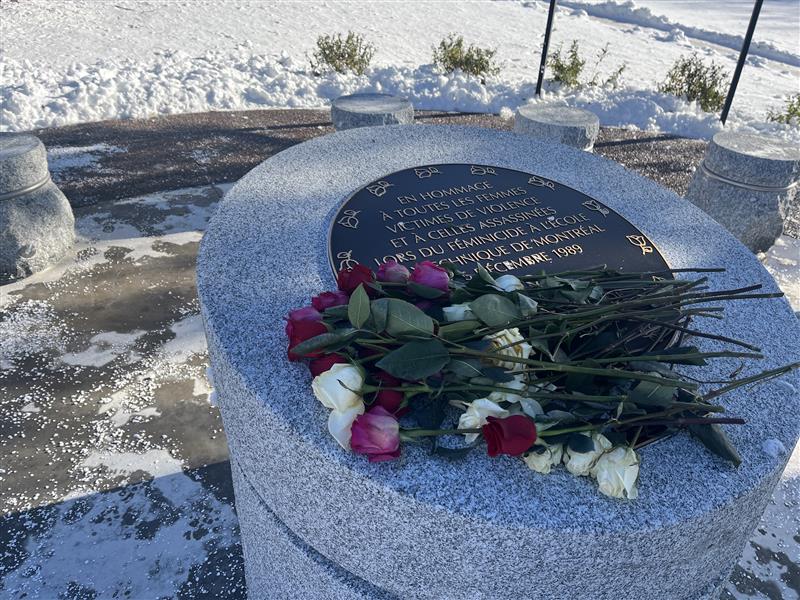 Бдения бяха проведени в университетите в Ню Брънзуик и Нова