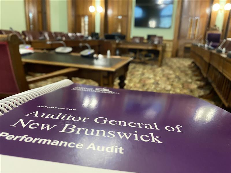 Генералният одитор на Ню Брънзуик повдига сериозни опасения относно отделите